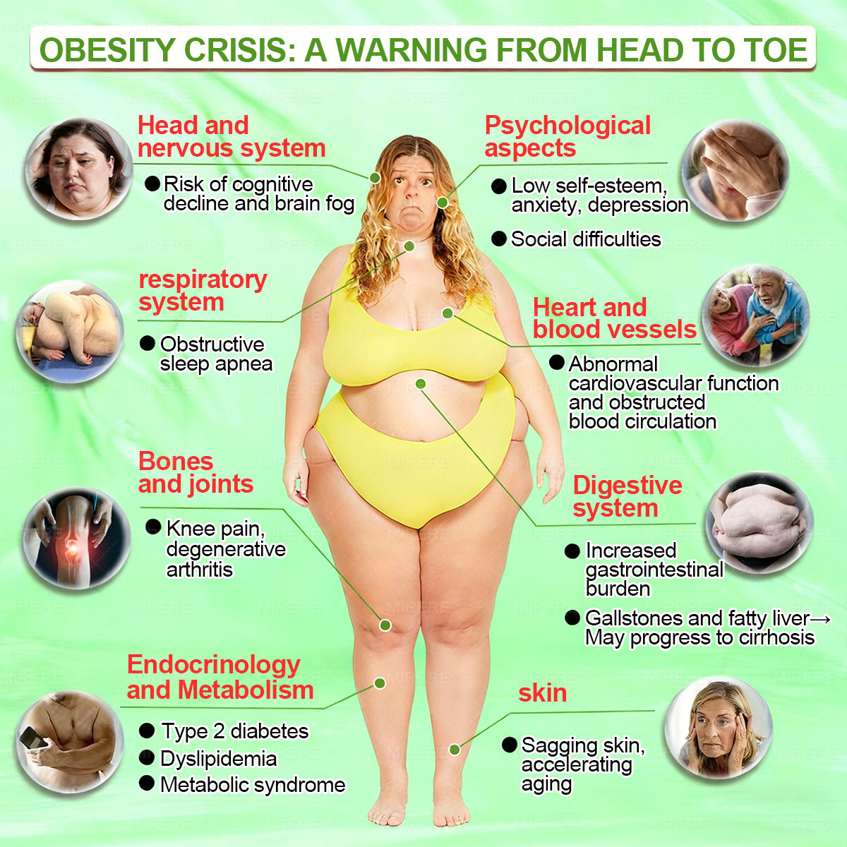 𝐌𝕀𝗥𝑬𝓡𝐄®  𝐍𝐀𝐃+ 𝐆𝐋𝐏-𝟏 Pro ALL-IN-ONE Fit&Vital 𝐎𝐫𝐚𝐥 𝐋𝐢𝐪𝐮𝐢𝐝 (𝐉𝐮𝐬𝐭 𝐨𝐧𝐜𝐞 𝐚 𝐝𝐚𝐲, 𝐯𝐢𝐬𝐢𝐛𝐥𝐞 𝐜𝐡𝐚𝐧𝐠𝐞𝐬 𝐢𝐧 𝟕 𝐝𝐚𝐲𝐬） ✅ 𝐅𝐨𝐫 𝐨𝐛𝐞𝐬𝐢𝐭𝐲, 𝐜𝐚𝐫𝐝𝐢𝐨𝐯𝐚𝐬𝐜𝐮𝐥𝐚𝐫 𝐡𝐞𝐚𝐥𝐭𝐡, 𝐝𝐢𝐚𝐛𝐞𝐭𝐞𝐬, 𝐬𝐥𝐞𝐞𝐩 𝐚𝐩𝐧𝐞𝐚, 𝐆𝐮𝐭 𝐇𝐞𝐚𝐥𝐭𝐡, 𝐣𝐨𝐢𝐧𝐭 𝐢𝐬𝐬𝐮𝐞𝐬, 𝐚𝐧𝐝 𝐦𝐨𝐫𝐞